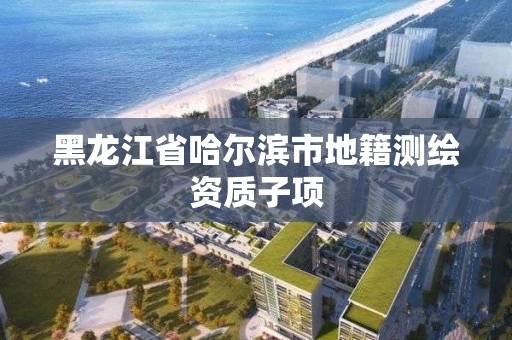 黑龙江省哈尔滨市地籍测绘资质子项