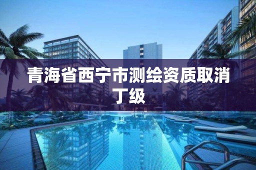 青海省西宁市测绘资质取消丁级