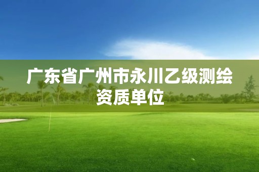 广东省广州市永川乙级测绘资质单位