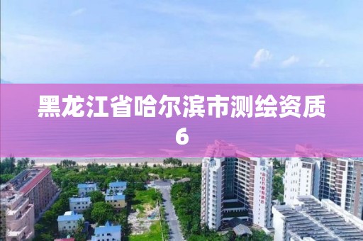 黑龙江省哈尔滨市测绘资质6