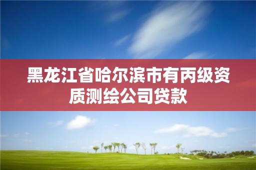 黑龙江省哈尔滨市有丙级资质测绘公司贷款