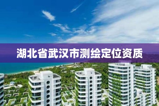 湖北省武汉市测绘定位资质