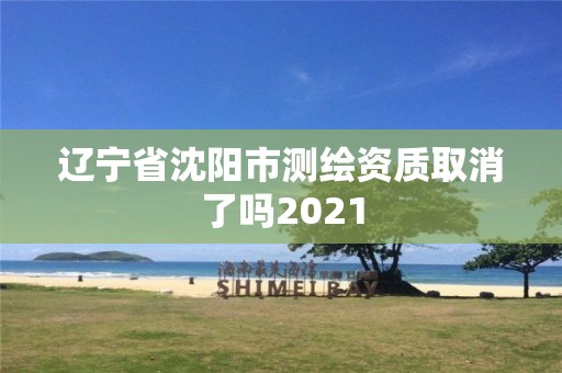 辽宁省沈阳市测绘资质取消了吗2021