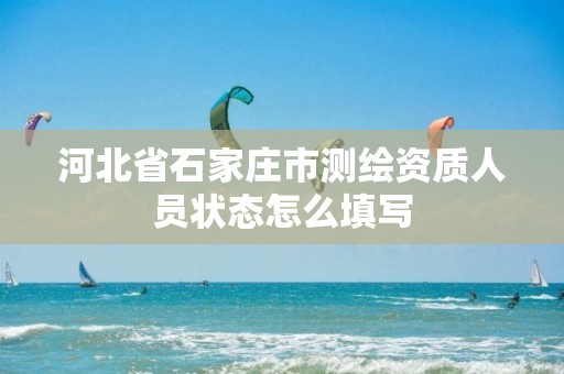 河北省石家庄市测绘资质人员状态怎么填写