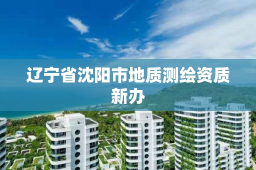 辽宁省沈阳市地质测绘资质新办