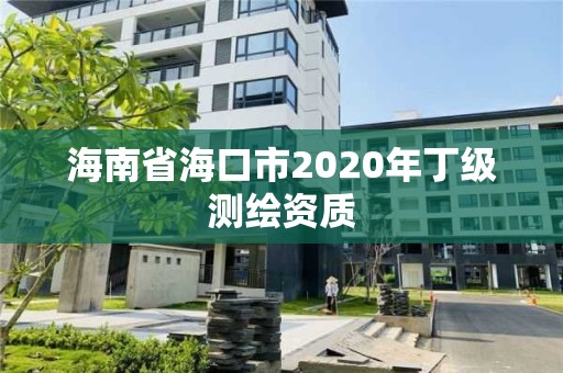 海南省海口市2020年丁级测绘资质