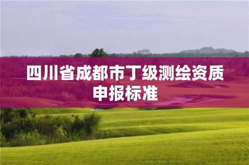 四川省成都市丁级测绘资质申报标准