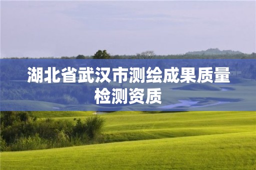 湖北省武汉市测绘成果质量检测资质