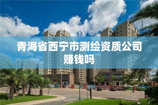 青海省西宁市测绘资质公司赚钱吗