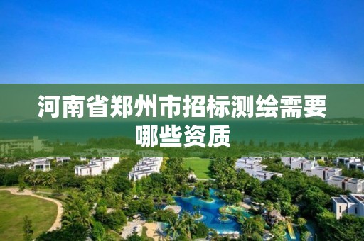 河南省郑州市招标测绘需要哪些资质