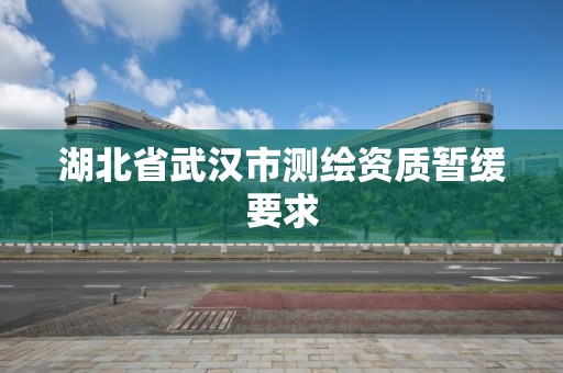 湖北省武汉市测绘资质暂缓要求