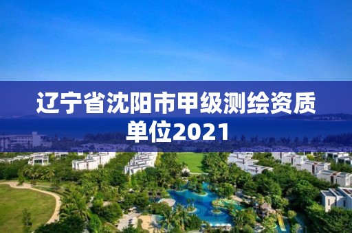 辽宁省沈阳市甲级测绘资质单位2021