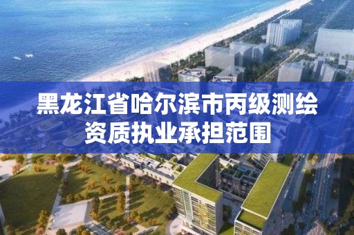 黑龙江省哈尔滨市丙级测绘资质执业承担范围