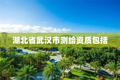 湖北省武汉市测绘资质包括