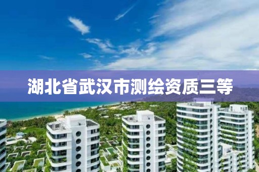 湖北省武汉市测绘资质三等