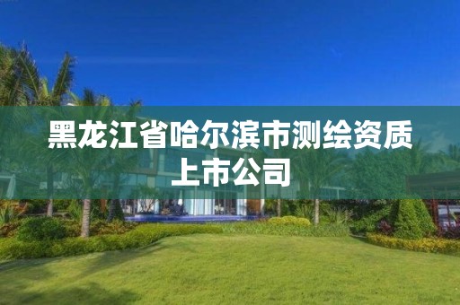 黑龙江省哈尔滨市测绘资质上市公司