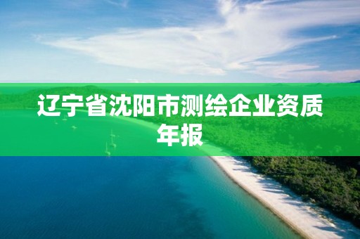 辽宁省沈阳市测绘企业资质年报