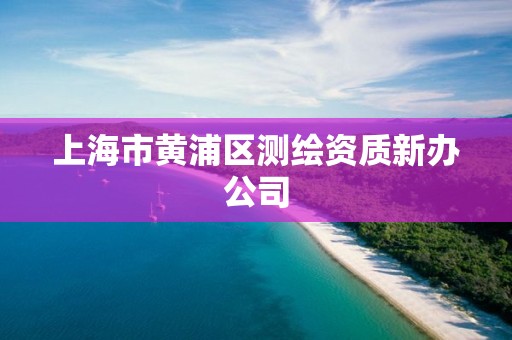 上海市黄浦区测绘资质新办公司