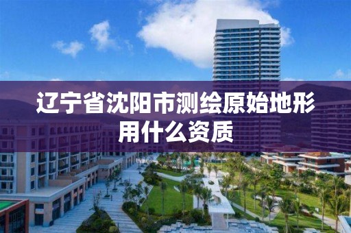 辽宁省沈阳市测绘原始地形用什么资质