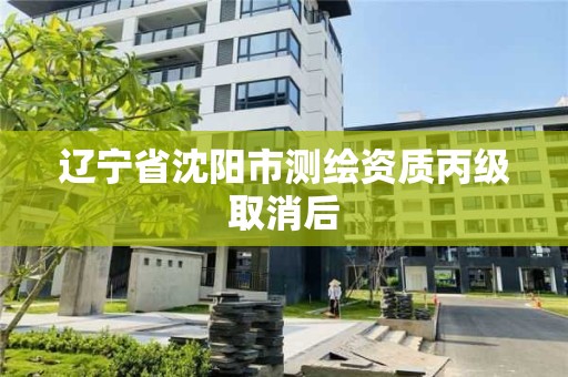 辽宁省沈阳市测绘资质丙级取消后