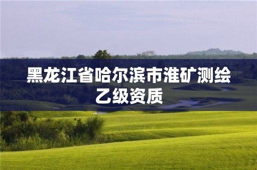 黑龙江省哈尔滨市淮矿测绘乙级资质