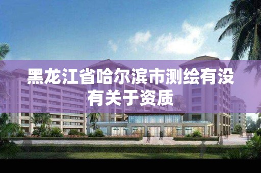 黑龙江省哈尔滨市测绘有没有关于资质