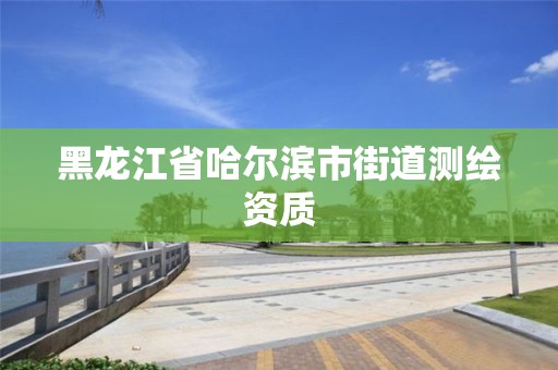 黑龙江省哈尔滨市街道测绘资质