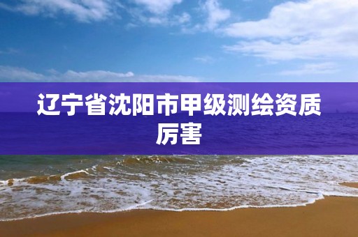 辽宁省沈阳市甲级测绘资质厉害