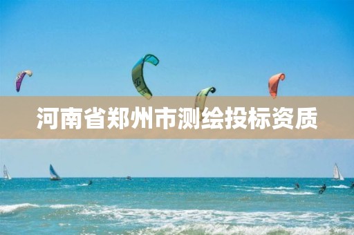 河南省郑州市测绘投标资质