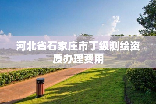 河北省石家庄市丁级测绘资质办理费用