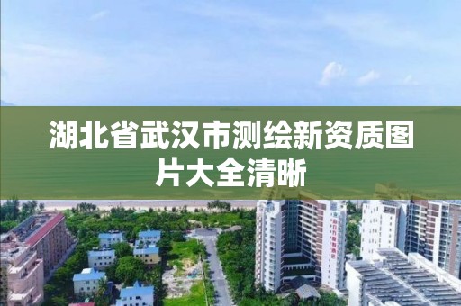 湖北省武汉市测绘新资质图片大全清晰