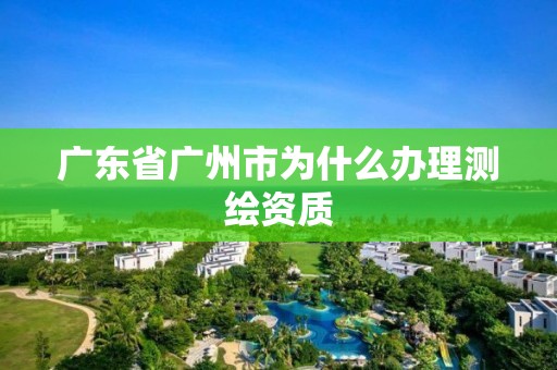 广东省广州市为什么办理测绘资质