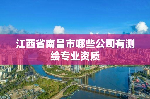 江西省南昌市哪些公司有测绘专业资质