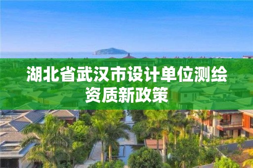 湖北省武汉市设计单位测绘资质新政策