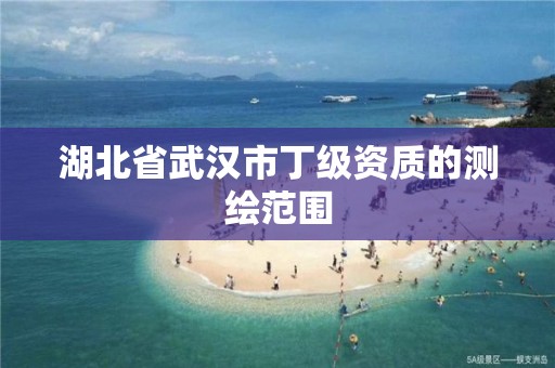 湖北省武汉市丁级资质的测绘范围