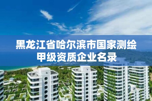 黑龙江省哈尔滨市国家测绘甲级资质企业名录