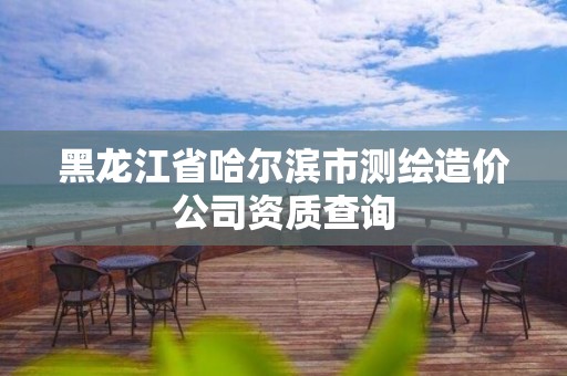 黑龙江省哈尔滨市测绘造价公司资质查询