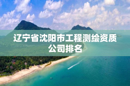 辽宁省沈阳市工程测绘资质公司排名