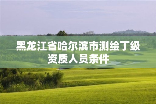 黑龙江省哈尔滨市测绘丁级资质人员条件