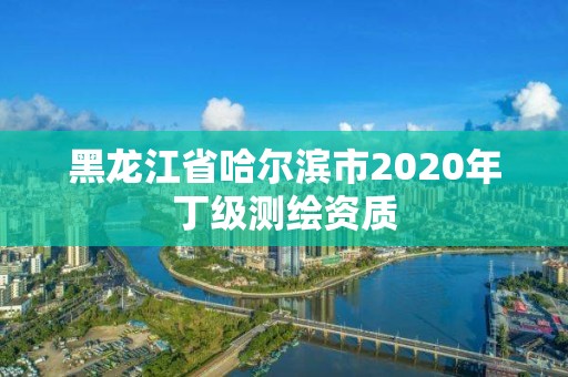 黑龙江省哈尔滨市2020年丁级测绘资质