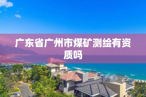 广东省广州市煤矿测绘有资质吗