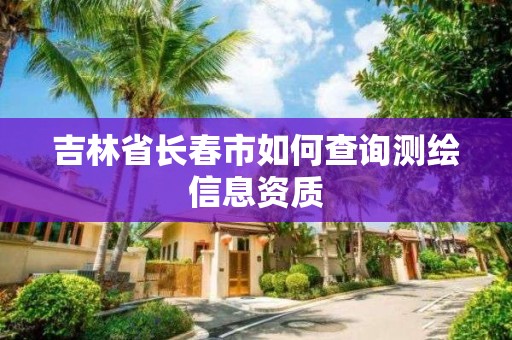 吉林省长春市如何查询测绘信息资质