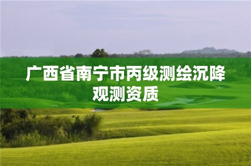 广西省南宁市丙级测绘沉降观测资质