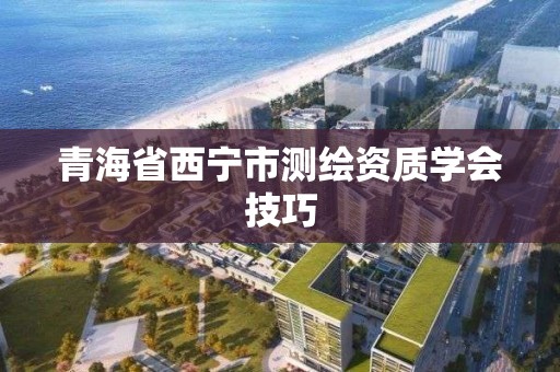 青海省西宁市测绘资质学会技巧