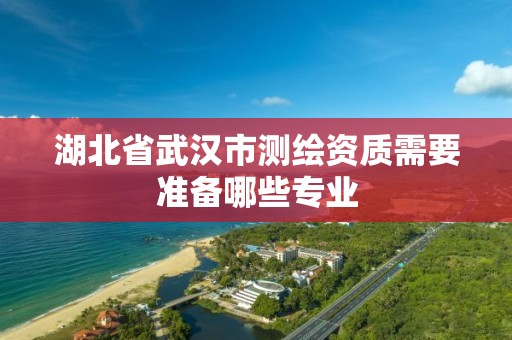 湖北省武汉市测绘资质需要准备哪些专业