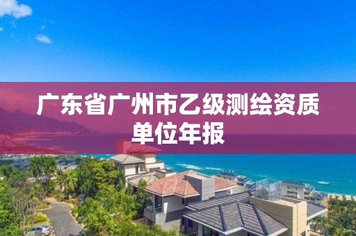 广东省广州市乙级测绘资质单位年报