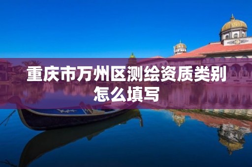 重庆市万州区测绘资质类别怎么填写