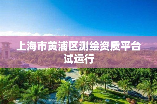 上海市黄浦区测绘资质平台试运行