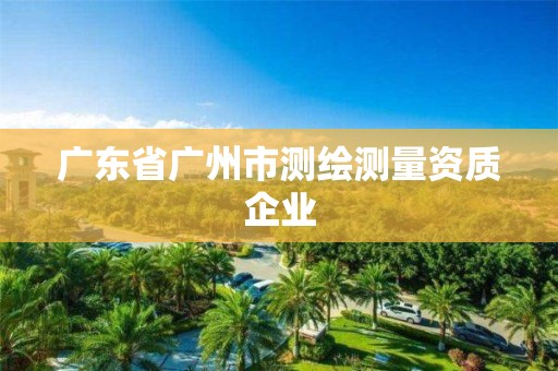 广东省广州市测绘测量资质企业