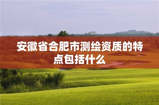 安徽省合肥市测绘资质的特点包括什么